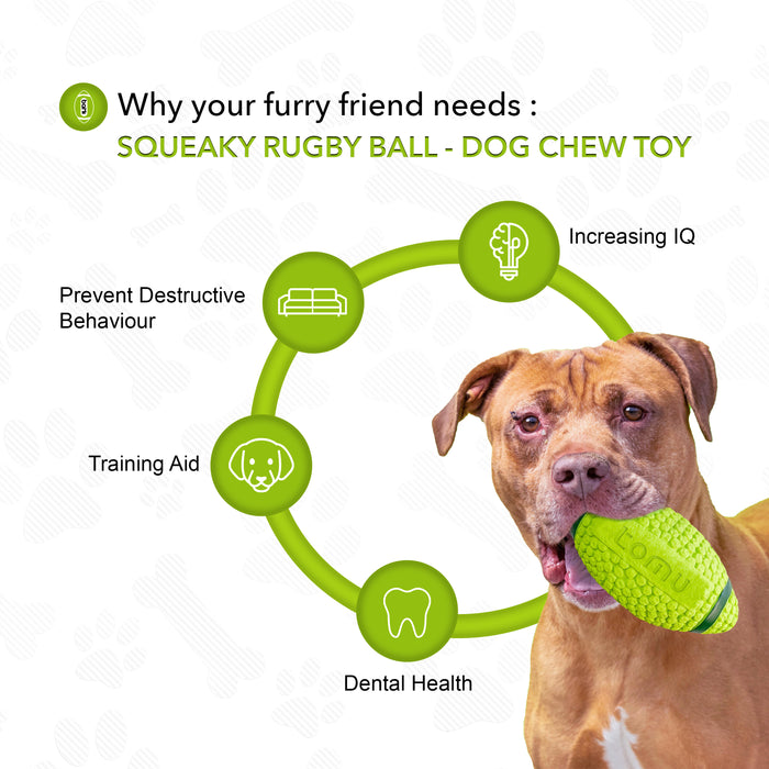 Squeaky Rugby Ball - Dog Chew Toy