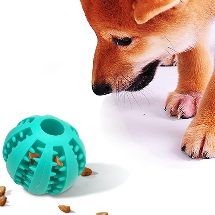 bani - Bouncy Chew Toy for Dogs