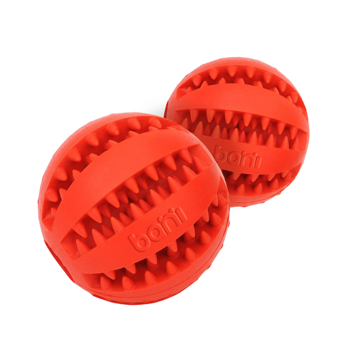 bani - Bouncy Chew Toy for Dogs